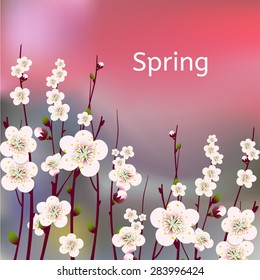 Vector happy easter card, wedding invitation template with an image of spring blossoming apricot  branches with a lot of flowers with blurred watercolor background