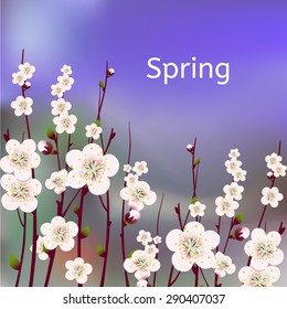 Vector happy easter card, wedding invitation template with an image of spring blossoming apricot  branches with a lot of flowers with blurred watercolor background