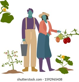 vector happy farmer couple husband and wife planting tomato and pumpkin plant