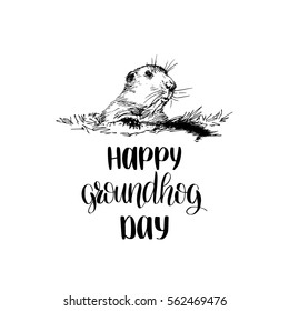 Vector Happy Groundhog Day sketched illustration with hand lettering. February 2 greeting holiday poster or card etc.