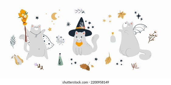 Vector happy Halloween frame background with cute cats and pumpkins. Pastel colors design.