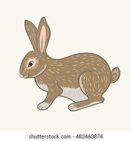 vector of hare
