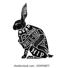 Vector Hare. March Hare. Vector Illustration