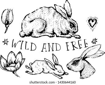 Vector hare rabbit and bunny with botanical elements and wild and free lettering hand drawn with ink in antique vintage style