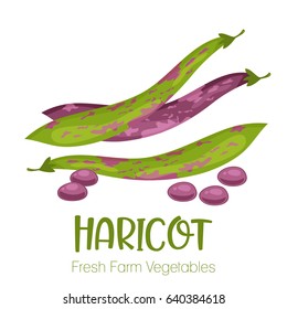 Vector haricot isolated on white background.Vegetable illustration for farm market menu. Healthy food design poster. Cartoon style vector