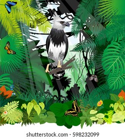 vector Harpy Eagle and butterflies in Jungle Rainforest