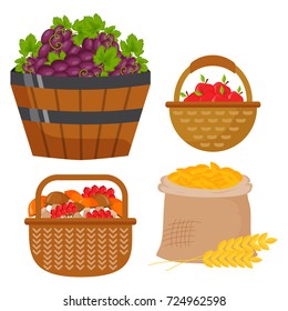 Vector harvest flat icons harvesting equipment for agriculture and horticulture, healthy natural fruits and hand tools