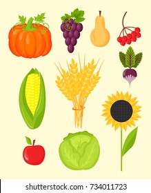 Vector harvest flat icons harvesting equipment for agriculture and horticulture, healthy natural fruits and hand tools