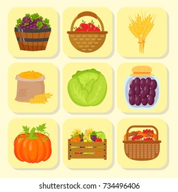 Vector harvest flat icons harvesting equipment for agriculture and horticulture, healthy natural fruits and hand tools