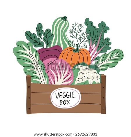 Vector harvest illsutration. Vegetables in the box isolated on white background. Stylizh design for vegetable base or food delivery