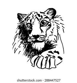 Vector hatching tiger, white bars