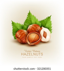 vector hazelnut isolated (element for design)