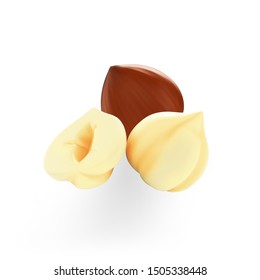 Vector hazelnut kernels isolated on a white background. Realistic vector illustration for template label, packaging snack and emblem farmer market design.