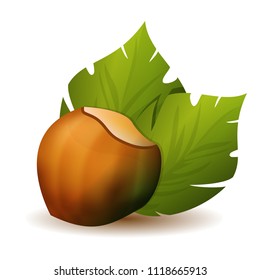 Vector hazelnut with leaves. Isolated elements on white background. Perfect for game icon or other design works.