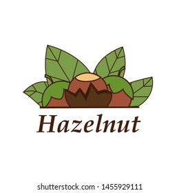 Vector hazelnut logo in cartoon style. illustration for design and web isolated on white background.