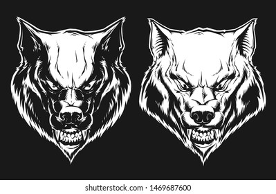 Vector Head of a angry wolf