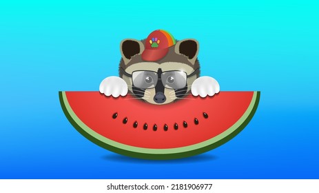 Vector head of a cute raccoon in a cap and glasses with a slice of red ripe watermelon on a bright blue background. Funny summer poster
