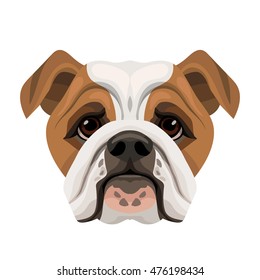 61 English Bulldog Sad Stock Vectors, Images & Vector Art | Shutterstock