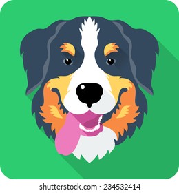 Vector head dog Bernese Mountain Dog icon flat design 