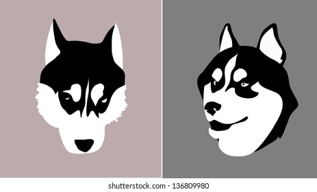 Vector head of a dog breed Siberian Husky