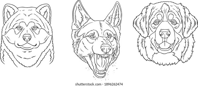 
vector head dog breeds outline 