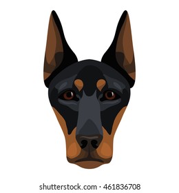 Vector head dog doberman face icon
