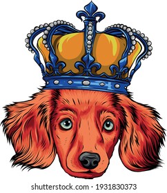 vector head Dog king in white background