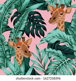 Vector head giraffe with tropical green leaves. Cartoon exotic seamless illustration repeating pattern on pink background. Floral wallpaper