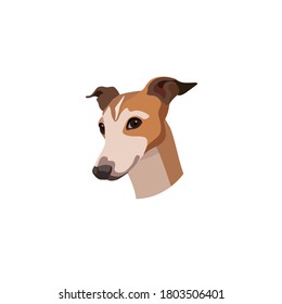 Vector head of a Greyhound dog breed