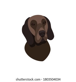 Vector head of a Hanoverian Hound dog breed