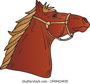 Vector head horse, doodle illustration animal, isolated 