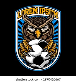 vector of head of the owl hold a soccer ball for football club logo