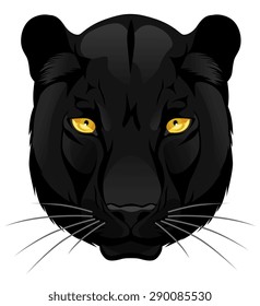 Vector head of panther on the white background.