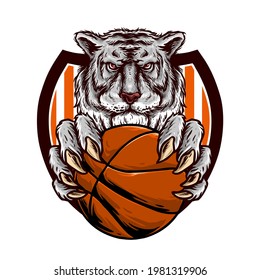 vector of head of the tiger hold a ball of basketball for basketball club logo