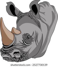 vector head of a two-horned rhinoceros that looks very strong