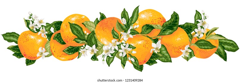 Vector headline decor elementwith grapefruit citrus branches in realistic graphic design illustration