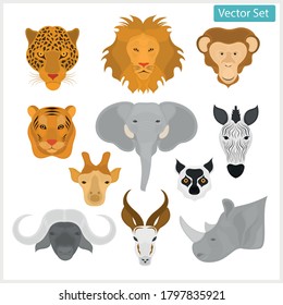 Vector heads of wild animals. Animals of Africa.