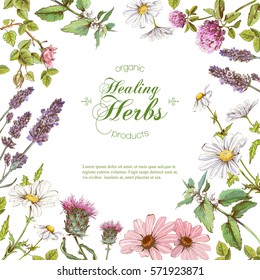 Vector healing flowers and herbs frame. Design for herbal tea, natural cosmetics, perfume, health care products, homeopathy, aromatherapy. With place for text