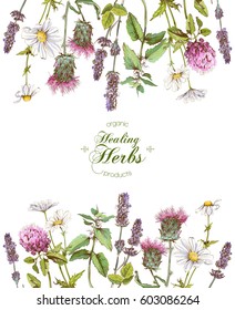 Vector healing flowers and herbs frame on white background.With place for text