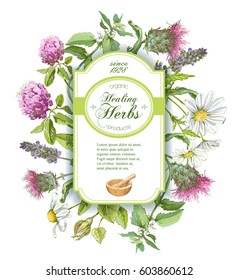 Vector healing herbs vertical banner on white background. With place for text