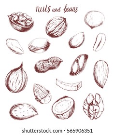 Vector healthy food big set with nuts on white. Hand drawn vintage illustration in sketch style for print, wrapping, fabric , menu and other design. Hand drawn ingredients for vegetarian food.