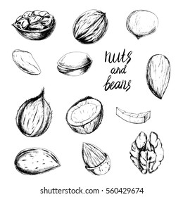 Vector healthy food set with nuts. Hand drawn vintage illustration in sketch style for print, wrapping, fabric , menu and other design. Ink drawn ingredients for vegetarian food. Black and white.