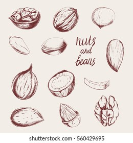 Vector healthy food set with nuts. Hand drawn vintage illustration in sketch style for print, wrapping, fabric , menu and other design. Ink drawn ingredients for vegetarian food.