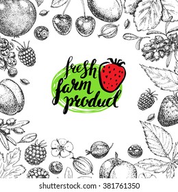 Vector Healthy Food template. Vintage logo, fruits and berries. Hand drawn.  Style of etching. Sketch. Vegetarian fresh farm product. 