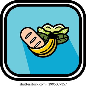 Un vector de alimentos sanos y nutritivos