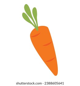 Vector healthy orange carrots graphic illustration.