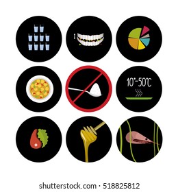 Vector healthy principles of nutrition icons.