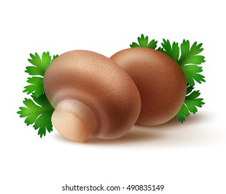 Vector Heap of Fresh Whole Brown Portabello Agaricus  Champignons Mushrooms with Green Parsley Leaves Close up Isolated on White Background