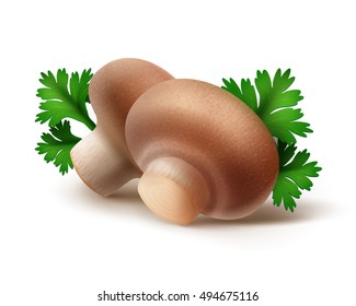 Vector Heap of Fresh Whole Brown Portabello Agaricus  Champignons Mushrooms with Green Parsley Leaves Close up Isolated on White Background