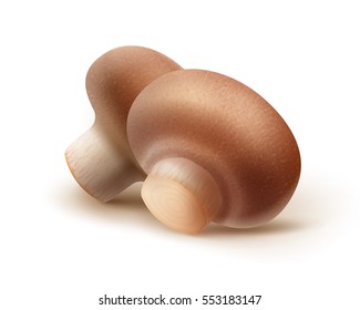 Vector Heap of Fresh Whole Brown Portabello Agaricus  Champignons Mushrooms Close up Isolated on White Background